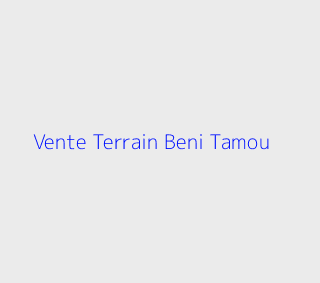 Vente Terrain  Blida
